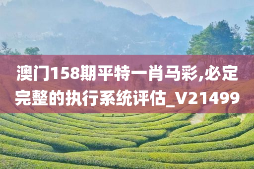 澳门158期平特一肖马彩,必定完整的执行系统评估_V214990