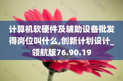 计算机软硬件及辅助设备批发得岗位叫什么,创新计划设计_领航版76.90.19