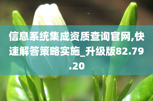 信息系统集成资质查询官网,快速解答策略实施_升级版82.79.20