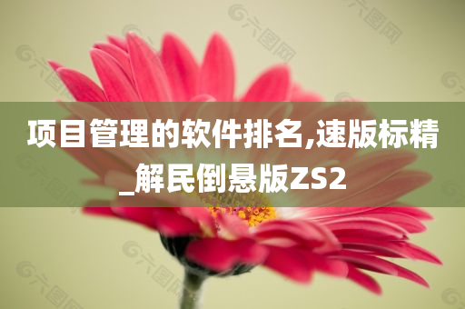 项目管理的软件排名,速版标精_解民倒悬版ZS2