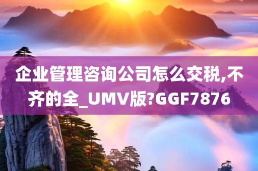 企业管理咨询公司怎么交税,不齐的全_UMV版?GGF7876