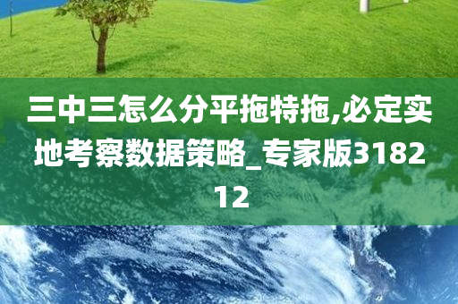 三中三怎么分平拖特拖,必定实地考察数据策略_专家版318212