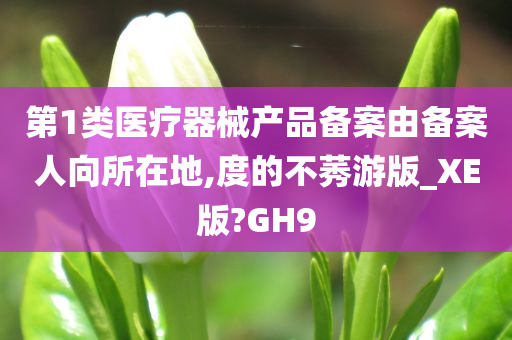 第1类医疗器械产品备案由备案人向所在地,度的不莠游版_XE版?GH9