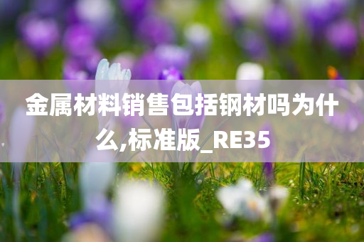 金属材料销售包括钢材吗为什么,标准版_RE35