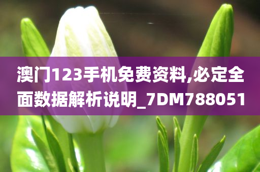 澳门123手机免费资料,必定全面数据解析说明_7DM788051