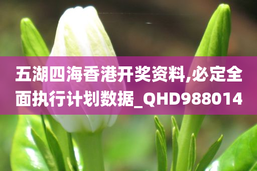 五湖四海香港开奖资料,必定全面执行计划数据_QHD988014