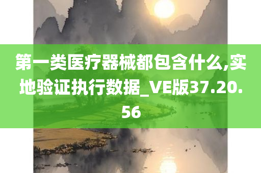 第一类医疗器械都包含什么,实地验证执行数据_VE版37.20.56