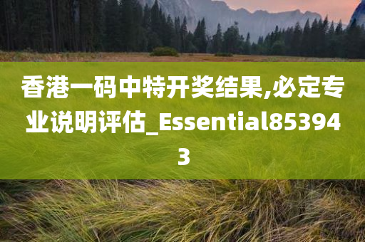 香港一码中特开奖结果,必定专业说明评估_Essential853943