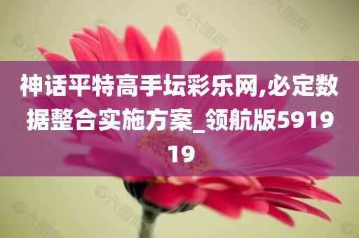 神话平特高手坛彩乐网,必定数据整合实施方案_领航版591919