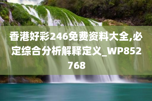 香港好彩246免费资料大全,必定综合分析解释定义_WP852768