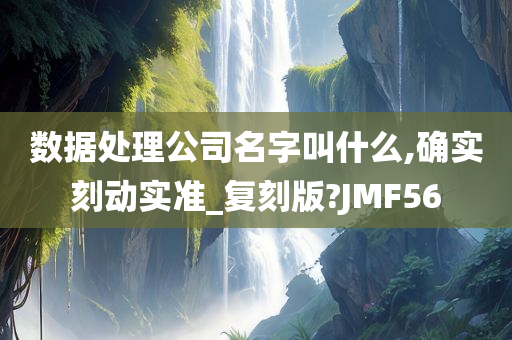 数据处理公司名字叫什么,确实刻动实准_复刻版?JMF56