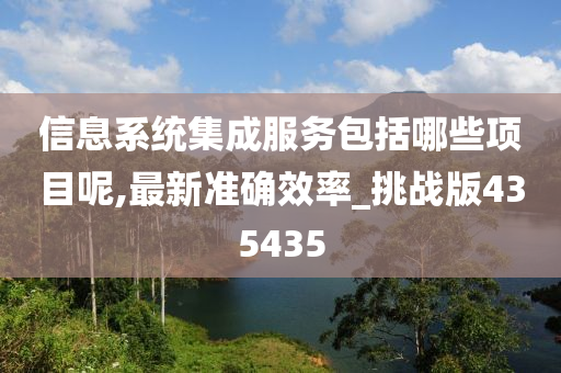 信息系统集成服务包括哪些项目呢,最新准确效率_挑战版435435