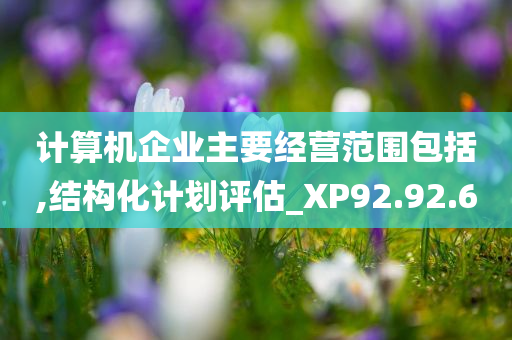 计算机企业主要经营范围包括,结构化计划评估_XP92.92.60