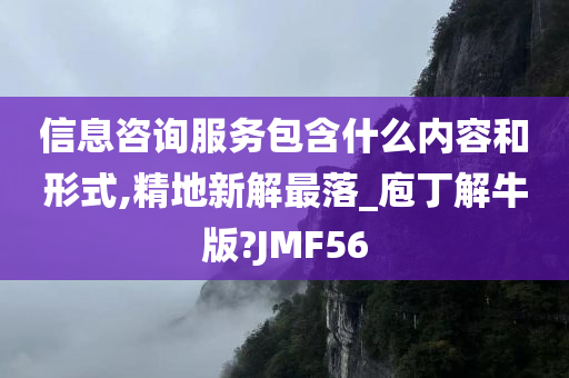 信息咨询服务包含什么内容和形式,精地新解最落_庖丁解牛版?JMF56