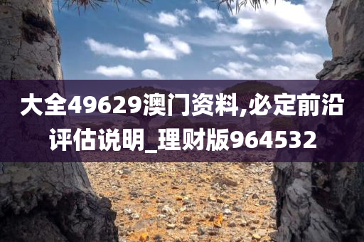 大全49629澳门资料,必定前沿评估说明_理财版964532