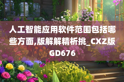 人工智能应用软件范围包括哪些方面,版解解精析挑_CXZ版GD676