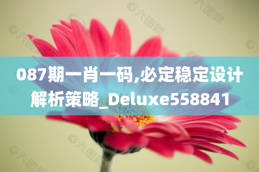 087期一肖一码,必定稳定设计解析策略_Deluxe558841