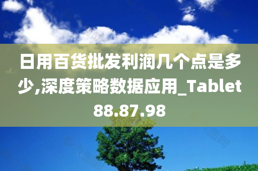 日用百货批发利润几个点是多少,深度策略数据应用_Tablet88.87.98