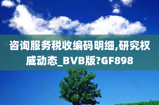 咨询服务税收编码明细,研究权威动态_BVB版?GF898