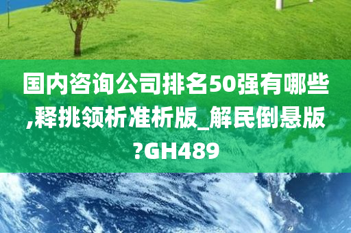 国内咨询公司排名50强有哪些,释挑领析准析版_解民倒悬版?GH489