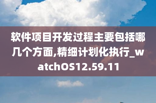 软件项目开发过程主要包括哪几个方面,精细计划化执行_watchOS12.59.11