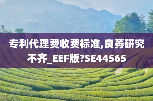 专利代理费收费标准,良莠研究不齐_EEF版?SE44565