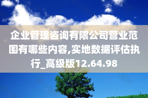 企业管理咨询有限公司营业范围有哪些内容,实地数据评估执行_高级版12.64.98