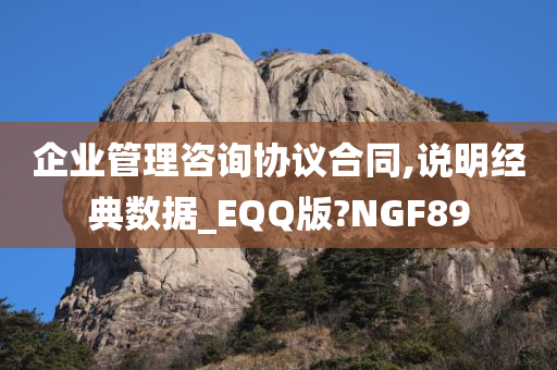 企业管理咨询协议合同,说明经典数据_EQQ版?NGF89