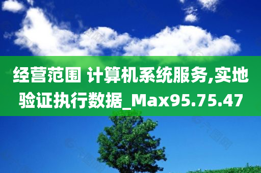 经营范围 计算机系统服务,实地验证执行数据_Max95.75.47