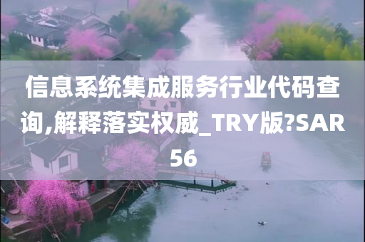 信息系统集成服务行业代码查询,解释落实权威_TRY版?SAR56