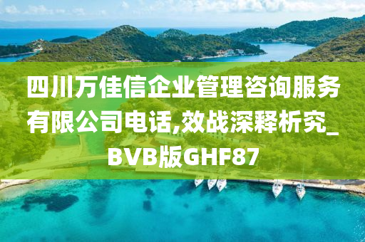 四川万佳信企业管理咨询服务有限公司电话,效战深释析究_BVB版GHF87