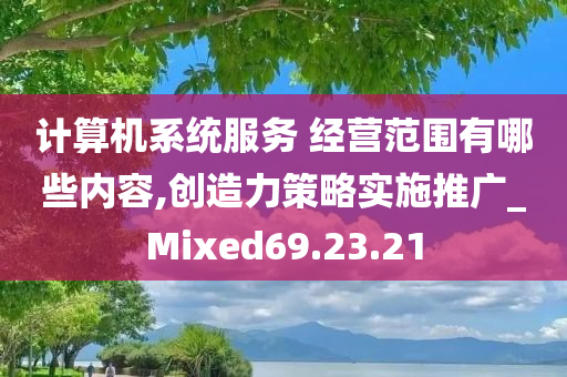 计算机系统服务 经营范围有哪些内容,创造力策略实施推广_Mixed69.23.21