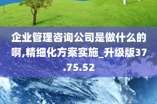 企业管理咨询公司是做什么的啊,精细化方案实施_升级版37.75.52