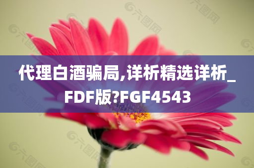 代理白酒骗局,详析精选详析_FDF版?FGF4543