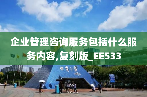 企业管理咨询服务包括什么服务内容,复刻版_EE533