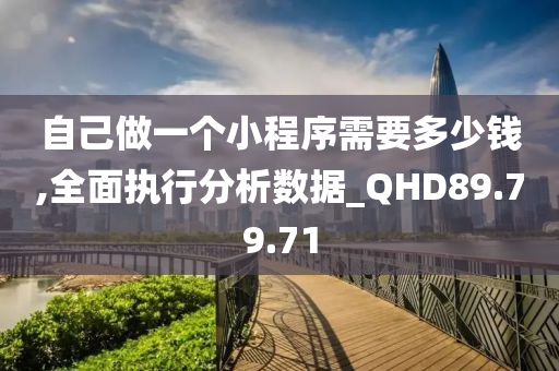 自己做一个小程序需要多少钱,全面执行分析数据_QHD89.79.71