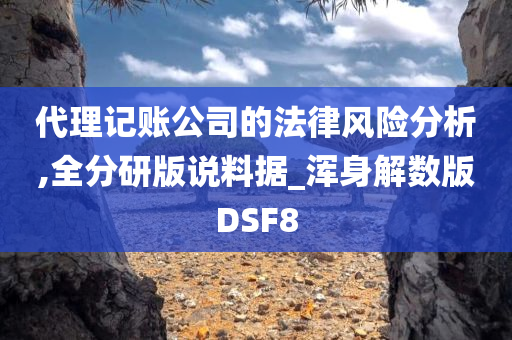 代理记账公司的法律风险分析,全分研版说料据_浑身解数版DSF8