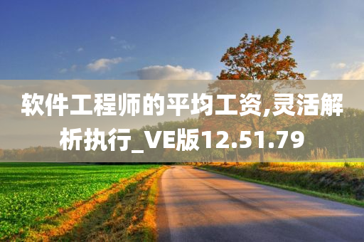 软件工程师的平均工资,灵活解析执行_VE版12.51.79