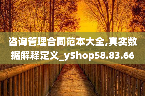 咨询管理合同范本大全,真实数据解释定义_yShop58.83.66