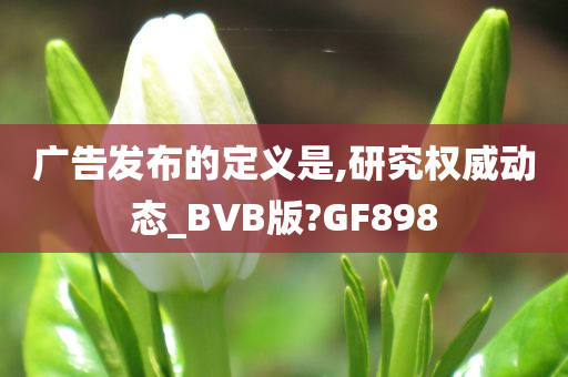 广告发布的定义是,研究权威动态_BVB版?GF898