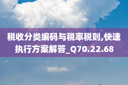 税收分类编码与税率税则,快速执行方案解答_Q70.22.68