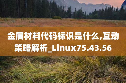 金属材料代码标识是什么,互动策略解析_Linux75.43.56