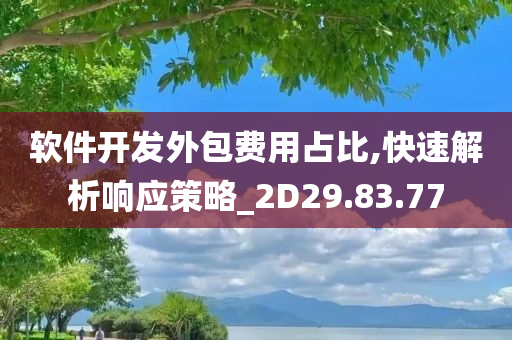 软件开发外包费用占比,快速解析响应策略_2D29.83.77