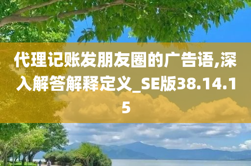 代理记账发朋友圈的广告语,深入解答解释定义_SE版38.14.15