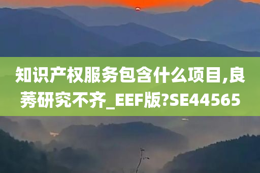 知识产权服务包含什么项目,良莠研究不齐_EEF版?SE44565