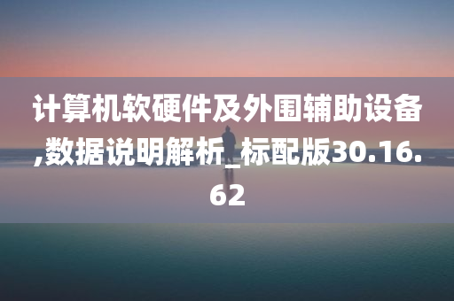 计算机软硬件及外围辅助设备,数据说明解析_标配版30.16.62