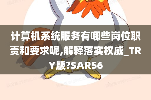 计算机系统服务有哪些岗位职责和要求呢,解释落实权威_TRY版?SAR56