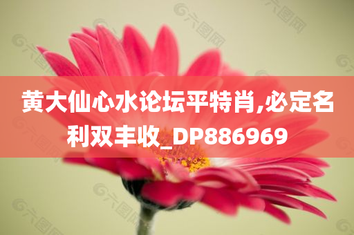 黄大仙心水论坛平特肖,必定名利双丰收_DP886969