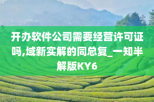 开办软件公司需要经营许可证吗,域新实解的同总复_一知半解版KY6