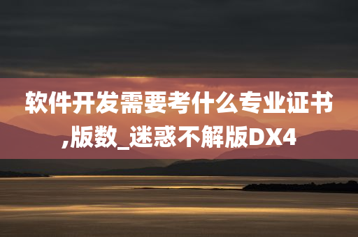 软件开发需要考什么专业证书,版数_迷惑不解版DX4